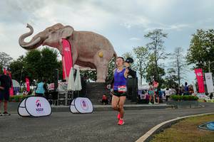 BIB: 
                            <button type="button" onclick="openModal(26528889)" class="btn btn-primary btn-sm float-right btn-popup" data-toggle="modal" data-target=".modal-high-quality">
                        <i class="fas fa-shopping-cart"></i> Add to Cart
                    </button>
                                            <button type="button" onclick="isThisMe(26528889, true)" class="btn btn-success btn-sm float-right btn-popup btn-isme hidden" data-toggle="tooltip" data-placement="bottom" title="นี่คือรูปของคุณใช่ไหม คลิกที่นี่เพื่อเอาเข้าอัลบั้ม">
                        <i class="fas fa-plus"></i> Add to album
                    </button>
                    <button type="button" onclick="isThisMe(26528889, false)" class="btn btn-warning btn-sm float-right btn-popup btn-isnotme hidden">
                        <i class="fas fa-ban"></i> Remove from album
                    </button>